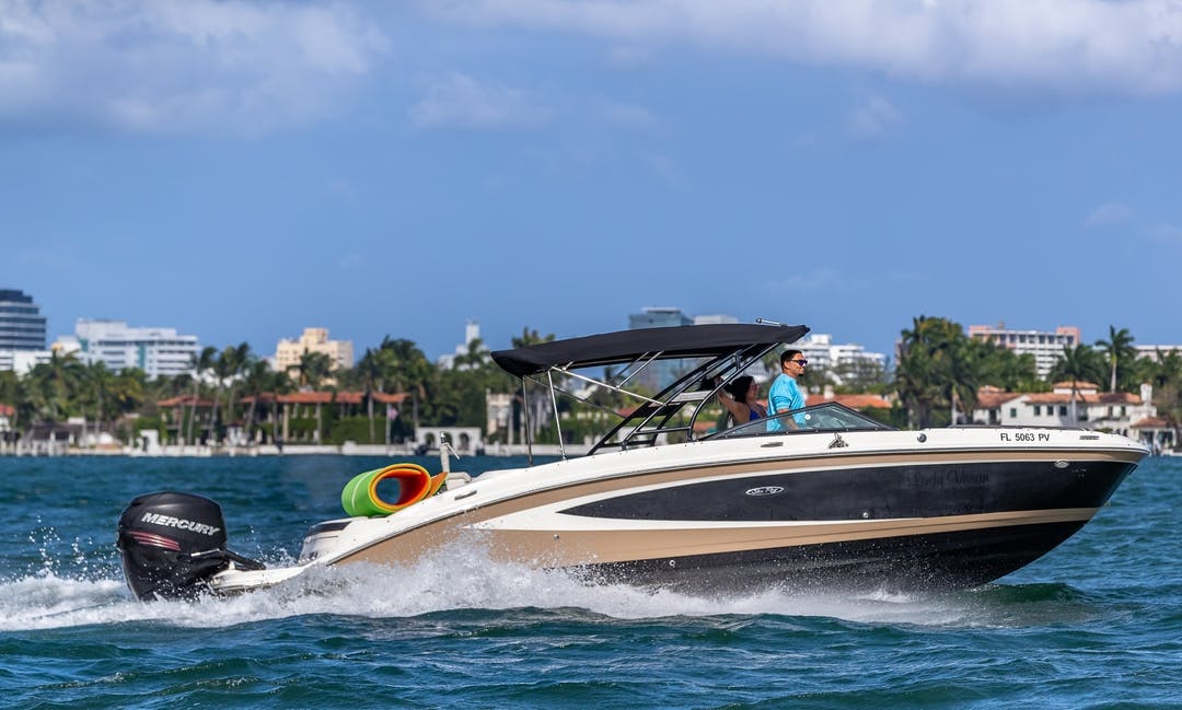 29 Searay luxury charter yacht - 5225 Collins Ave, Miami, FL 33140, USA