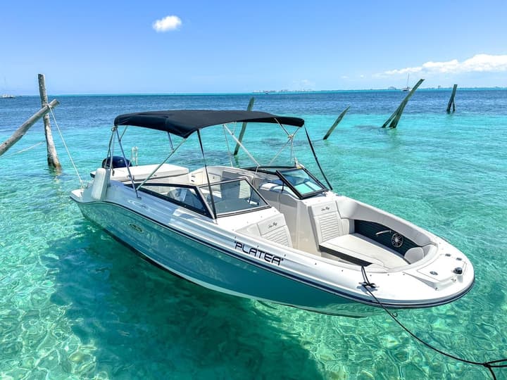 23 Searay for up to 8 guests