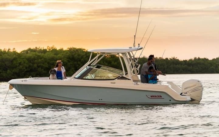 24' Boston Whaler Vantage