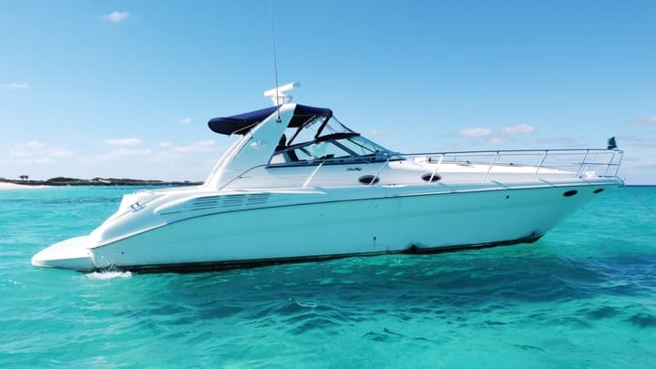Day charter with lunch & unlimited rum punch
