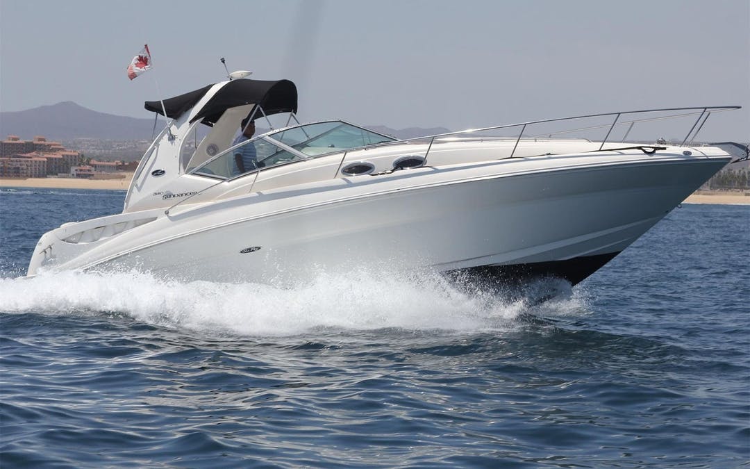32' Sea Ray Luxury Yacht for Charter in Los Cabos, Mexico - Image 22