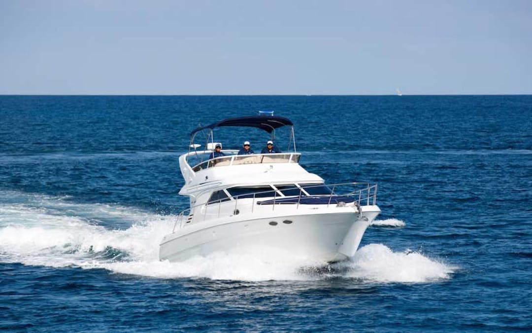 42 Sea Ray luxury charter yacht - Puerto Aventuras, Quintana Roo, Mexico