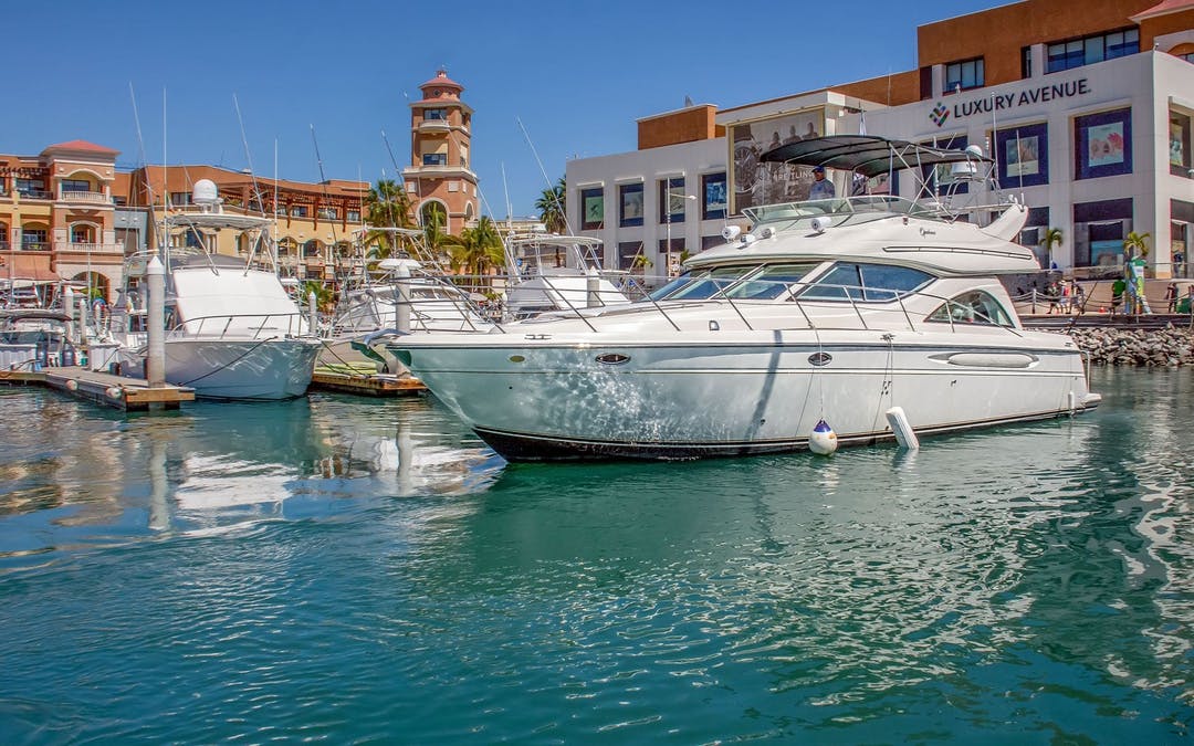 42' Maxum luxury charter yacht - Paseo de La Marina Lotes 37 y 38, El Medano Ejidal, Centro, Cabo San Lucas, BCS, Mexico - 1
