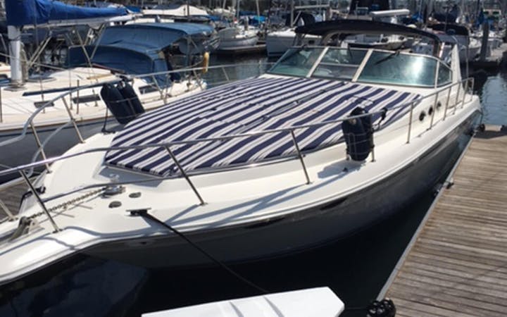 45 Sea Ray  luxury charter yacht - San Diego, CA, USA