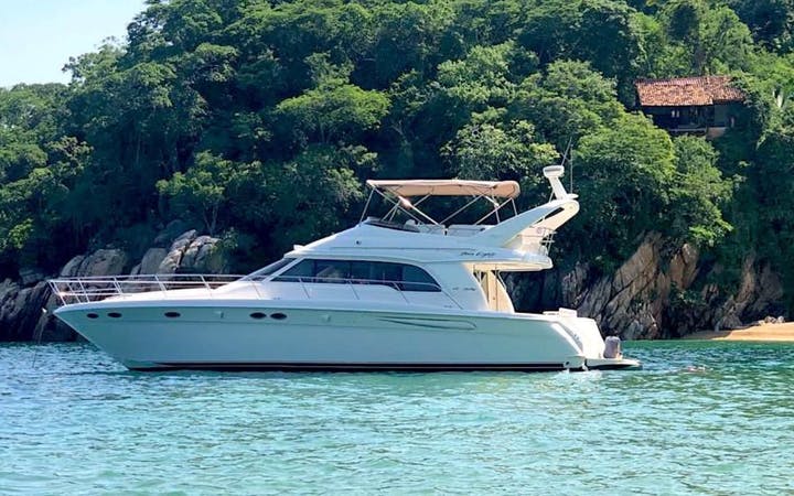 50 Sea Ray luxury charter yacht - Marina Vallarta, Puerto Vallarta, Jalisco, Mexico