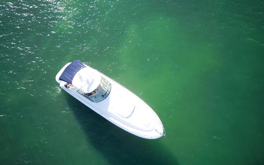 55 Sea Ray luxury charter yacht - Prime Marina Southampton, Tepee Street, Hampton Bays, NY, USA