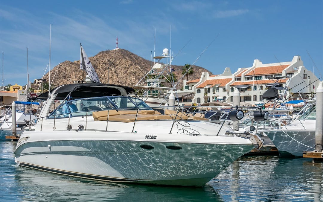 42' Sea Ray luxury charter yacht - Paseo de La Marina Lotes 37 y 38, El Medano Ejidal, Centro, Cabo San Lucas, BCS, Mexico - 2